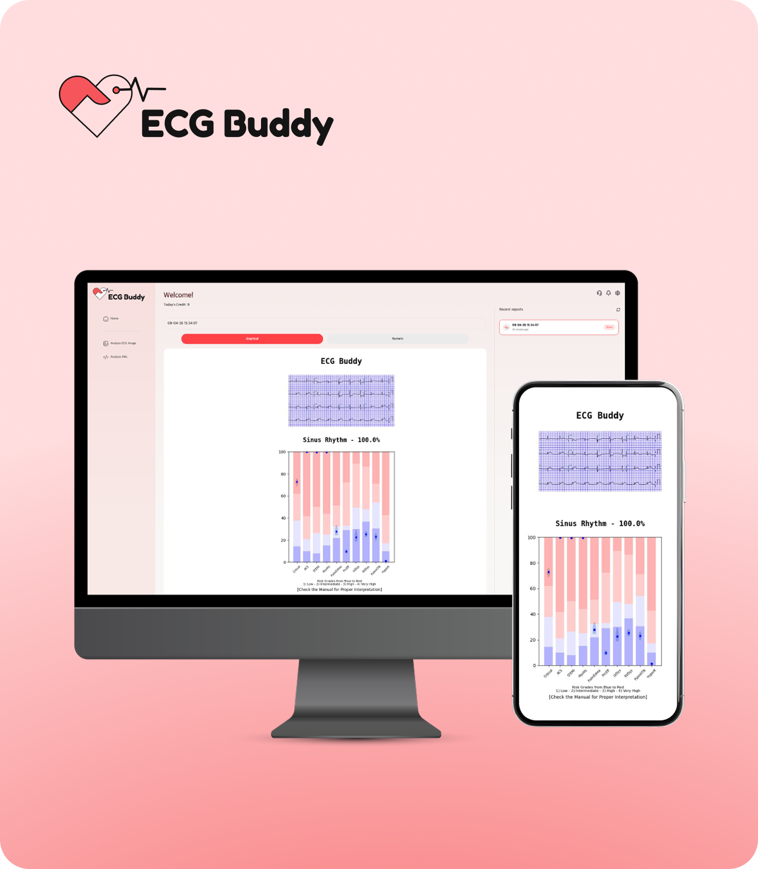 buddy