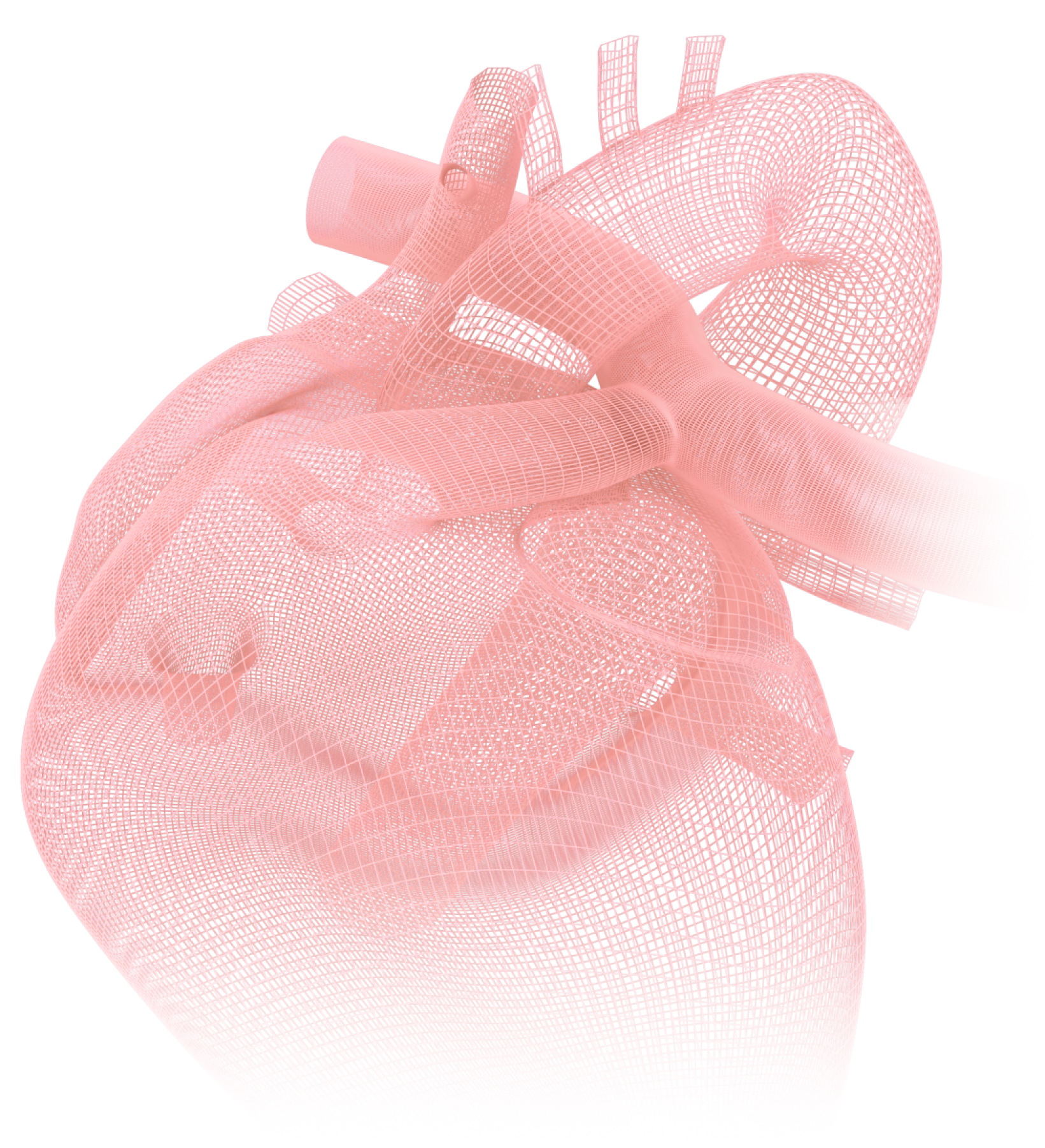 heart
